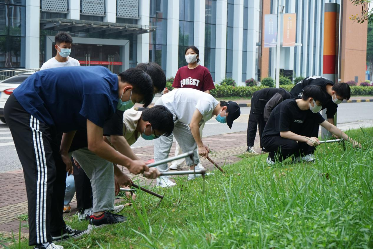 同學們在清除雜草
