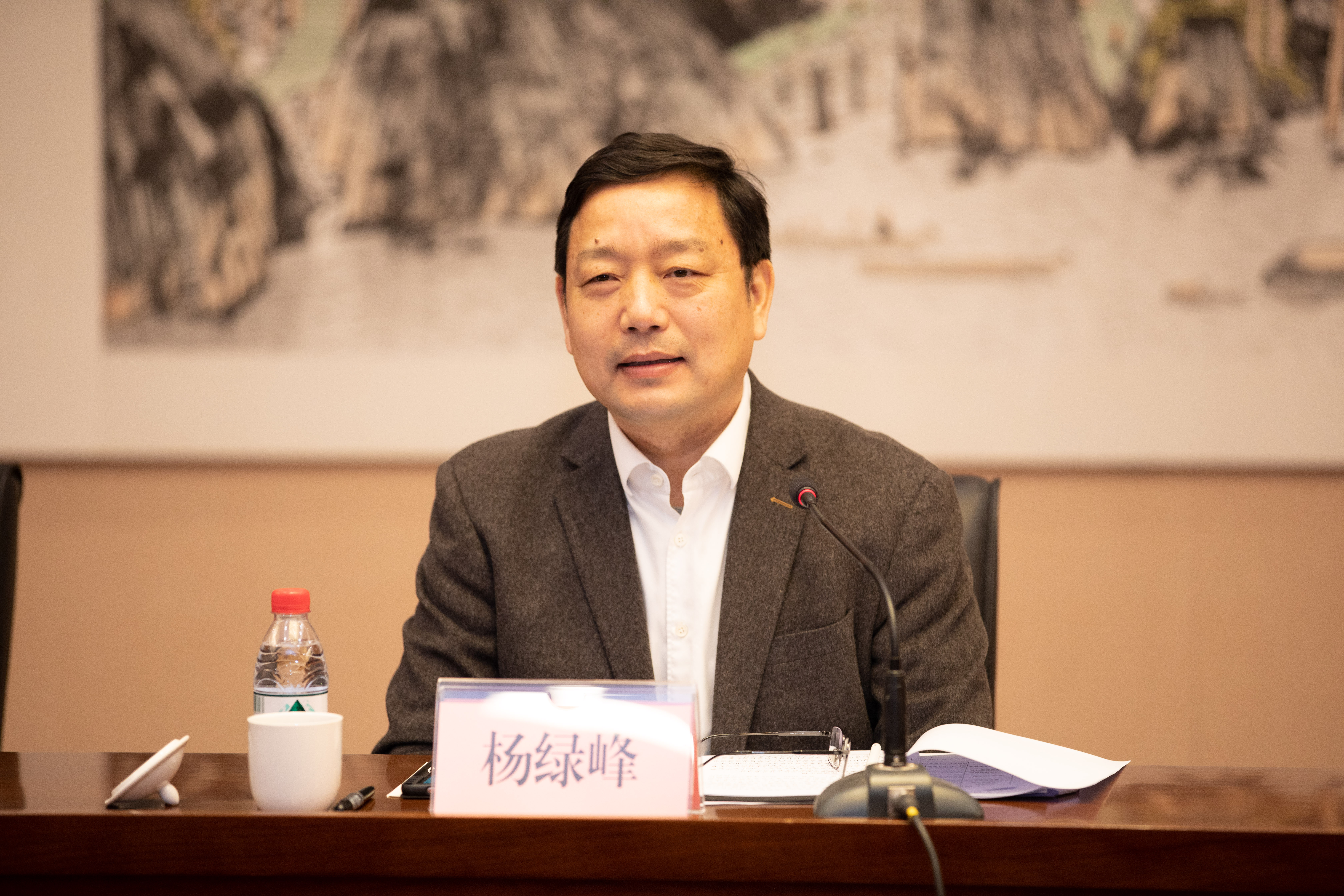 楊綠峰廳長在調(diào)研座談會上講話