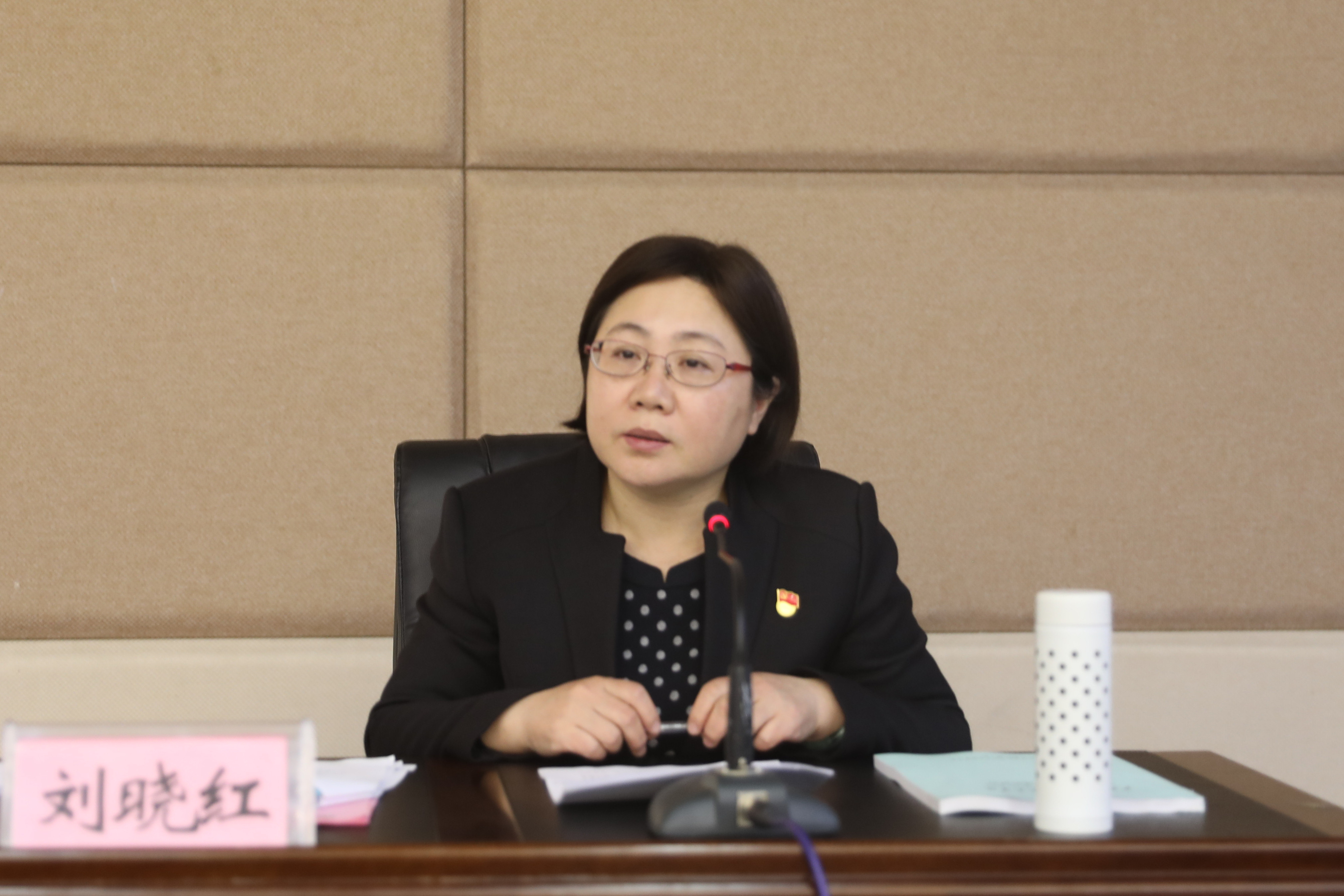 學(xué)院黨委書記劉曉紅講話