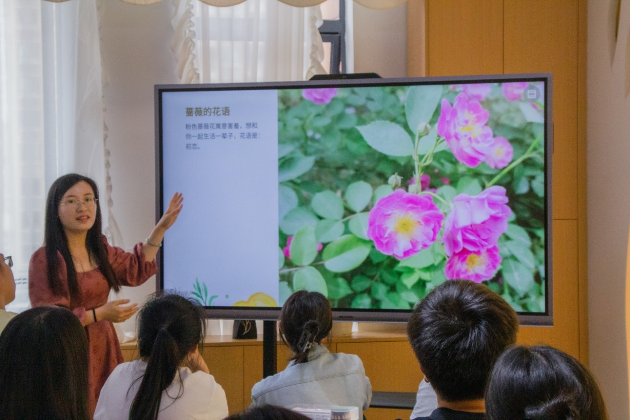 朱秋敏老師介紹薔薇的花語(yǔ)